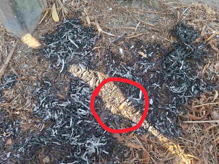 ΦΩΤΟ: Φωτιά στον αυτοκινητόδρομο στα Λύμπια, εντοπίστηκε αποτσίγαρο στο σημείο