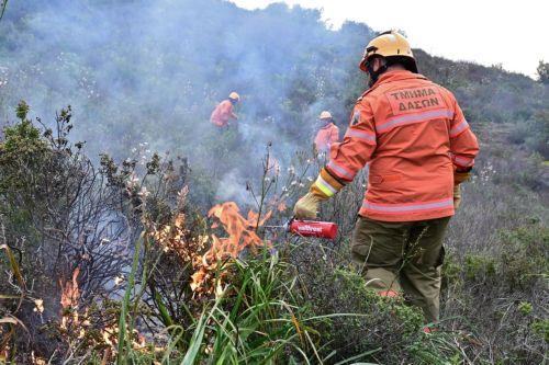 πριν 5 ώρες Υπό πλήρη έλεγχο δασική πυρκαγιά στην Ανδρολύκου